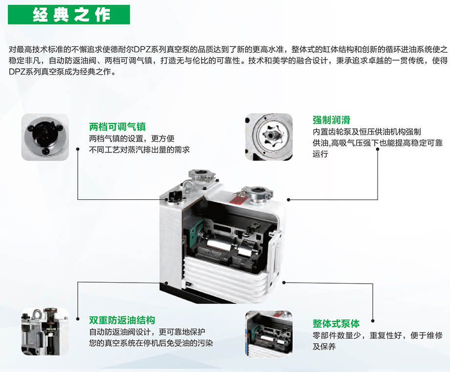 DPZ双级旋片真空泵(图2)